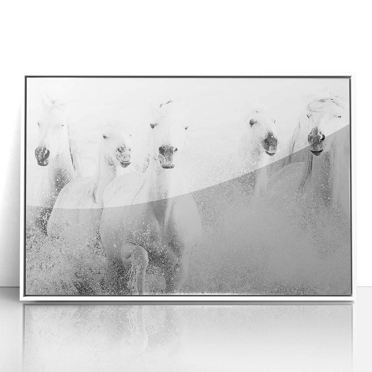 Wild Horses in Motion - Black & White Fine Art Photography