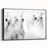 Wild Horses in Motion - Black & White Fine Art Photography