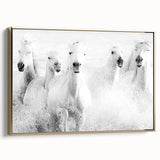 Wild Horses in Motion - Black & White Fine Art Photography