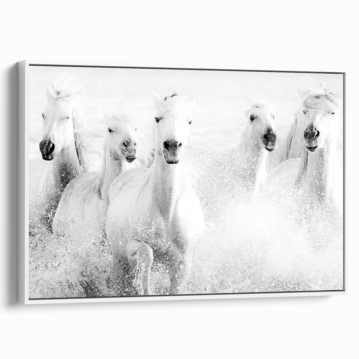 Wild Horses in Motion - Black & White Fine Art Photography