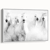 Wild Horses in Motion - Black & White Fine Art Photography