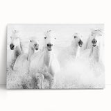 Wild Horses in Motion - Black & White Fine Art Photography