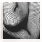 Abstract Body in Fishnets - Black & White Fine Art Photography
