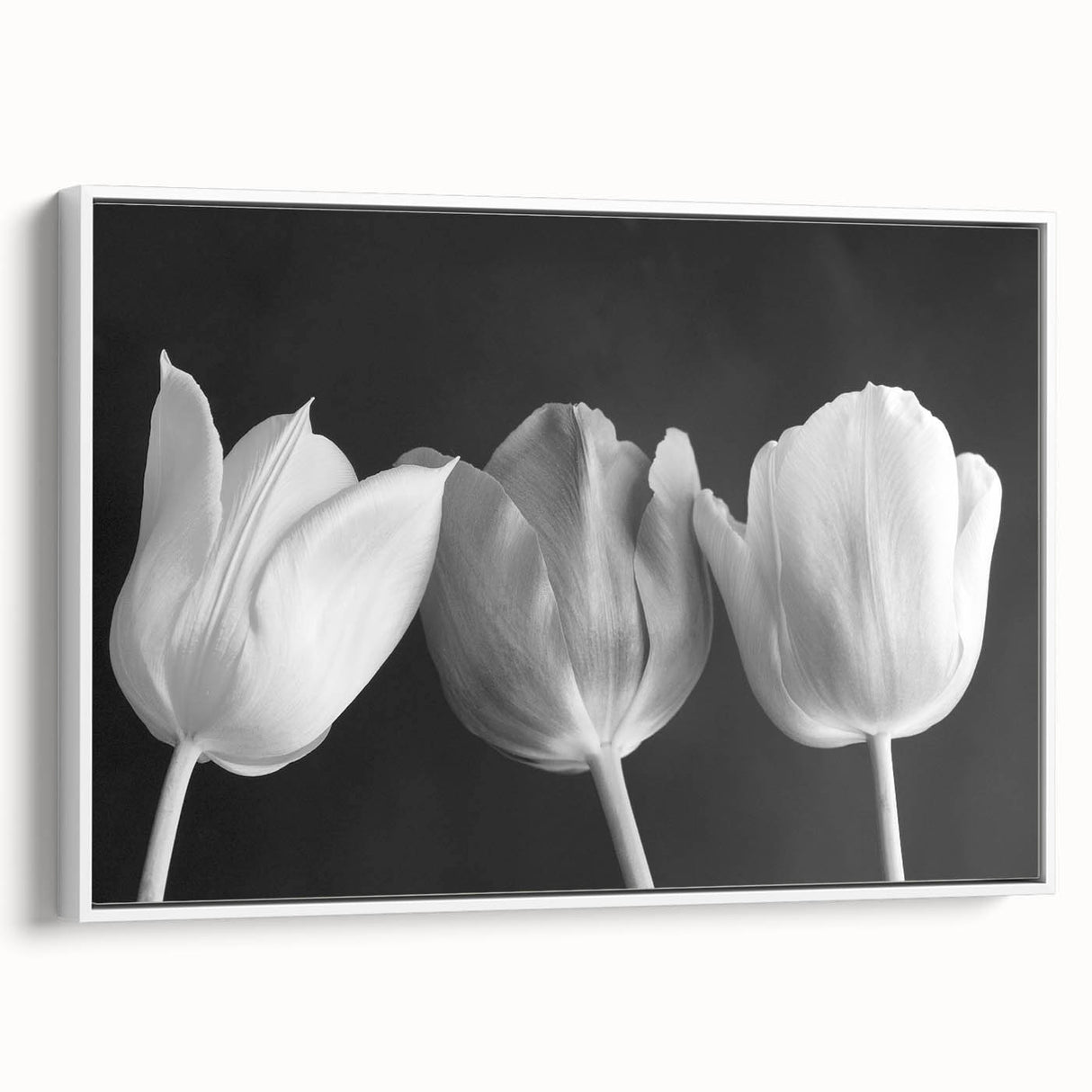 Vibrant floral artwork featuring colorful blossoms and lush green leaves, showcasing intricate details and textures, ideal for home decor and wall art enthusiasts.