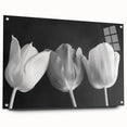Vibrant floral canvas print showcasing colorful blossoms in a serene garden setting, perfect for home decor. Ideal for adding natural beauty to any room.