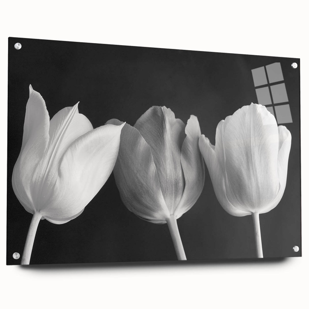 Vibrant floral canvas print showcasing colorful blossoms in a serene garden setting, perfect for home decor. Ideal for adding natural beauty to any room.