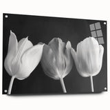 Vibrant floral canvas print showcasing colorful blossoms in a serene garden setting, perfect for home decor. Ideal for adding natural beauty to any room.