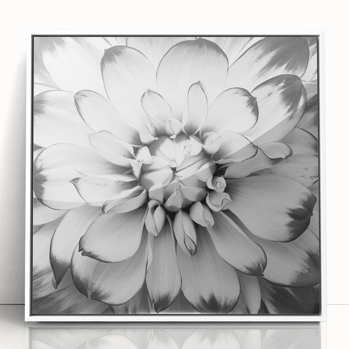Vibrant floral canvas print showcasing a colorful arrangement of blooming flowers in rich hues, ideal for home decor or art enthusiasts.