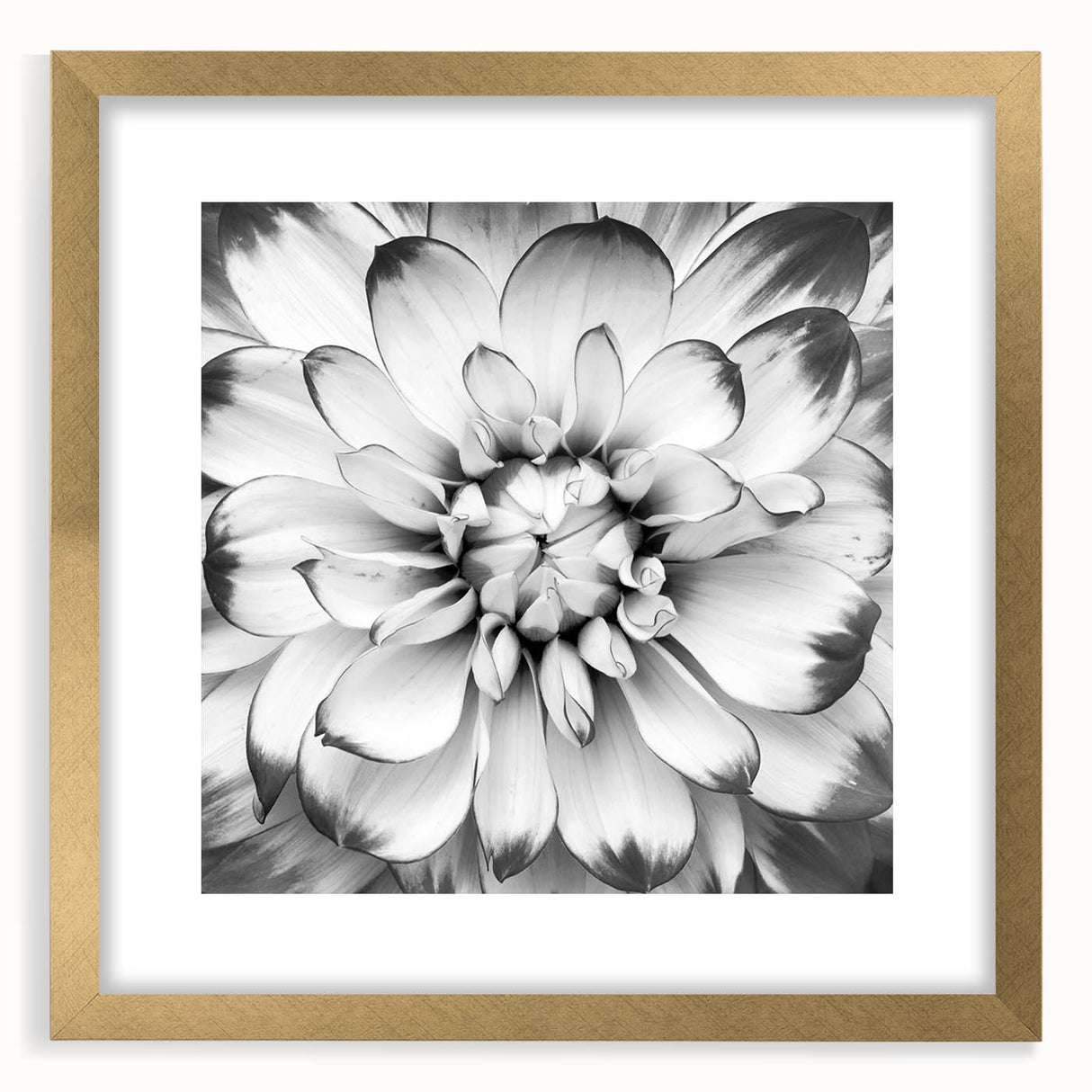 Vibrant close-up of a flower arrangement featuring assorted colorful blooms in a beautifully designed vase, ideal for home decor and floral enthusiasts.
