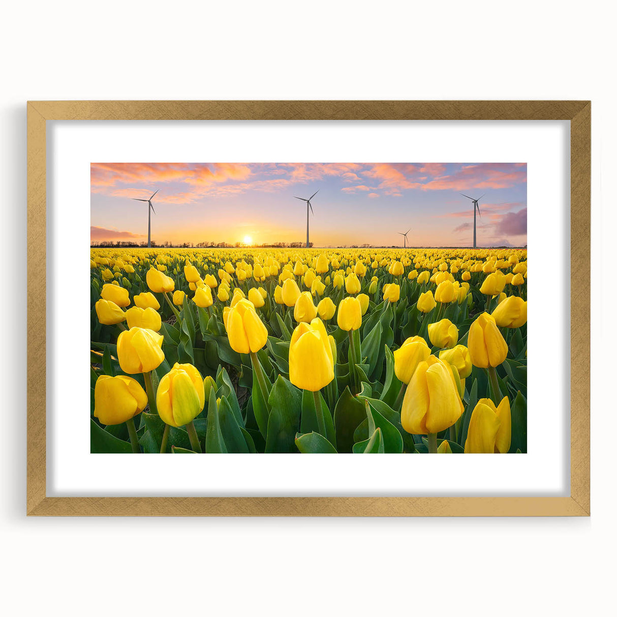 Close-up of a vibrant floral wall art canvas showcasing intricate details of colorful flowers on a textured background, perfect for home decor.