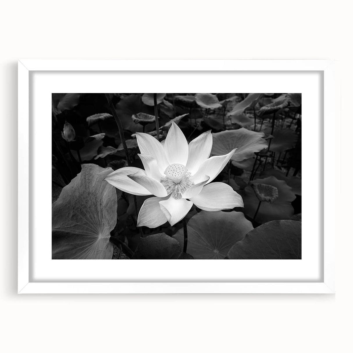 Vibrant floral wall art featuring a colorful bouquet of flowers on a textured canvas, ideal for enhancing home decor with a touch of nature.