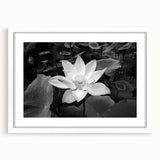 Vibrant floral wall art featuring a colorful bouquet of flowers on a textured canvas, ideal for enhancing home decor with a touch of nature.