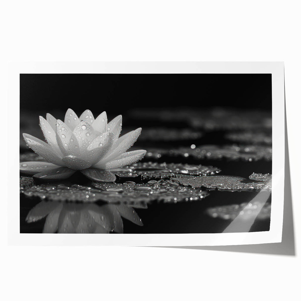Vibrant close-up of a colorful floral canvas artwork showcasing intricate petal details and rich hues, ideal for enhancing home decor with a natural aesthetic.