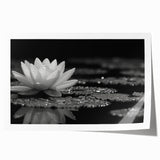 Vibrant close-up of a colorful floral canvas artwork showcasing intricate petal details and rich hues, ideal for enhancing home decor with a natural aesthetic.