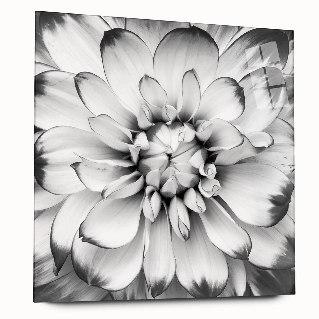 Vibrant floral canvas wall art showcasing a colorful bouquet of roses and daisies, perfect for brightening up home decor or office space.