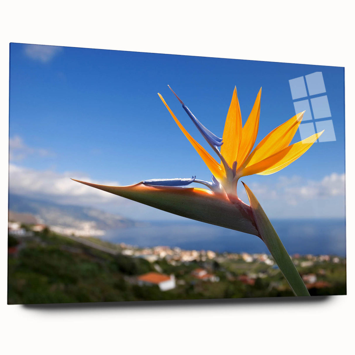 Vibrant floral wall art featuring a colorful bouquet of wildflowers on a textured background, perfect for brightening up any living space or office decor.