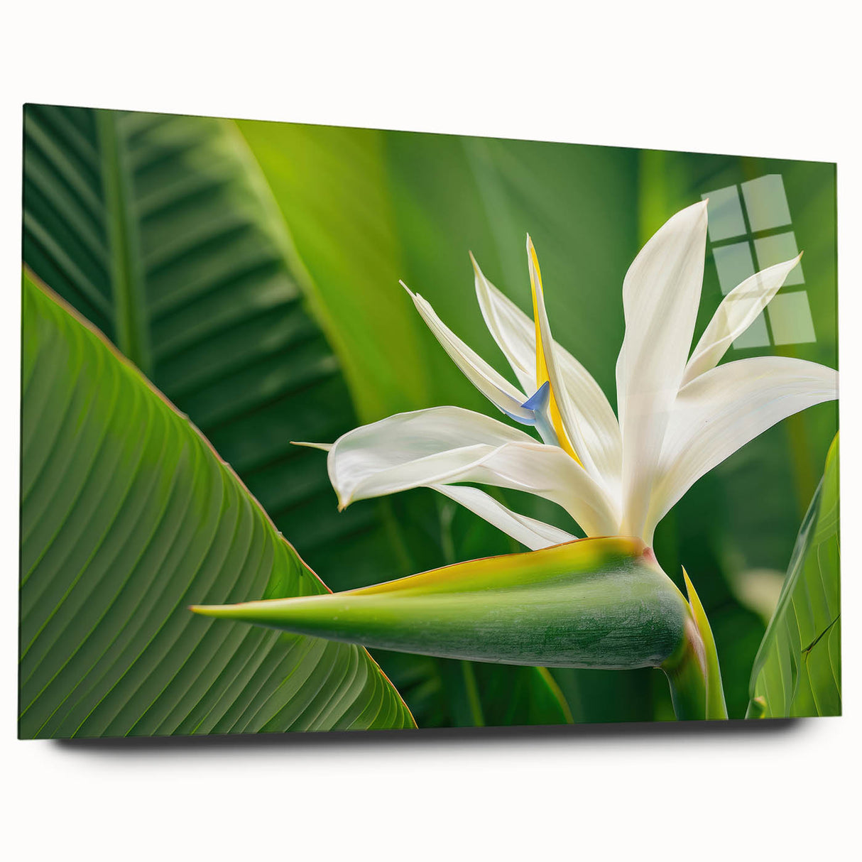 Colorful floral wall art featuring vibrant pink and yellow flowers with lush green leaves, perfect for brightening home decor. Ideal for nature-inspired interiors.