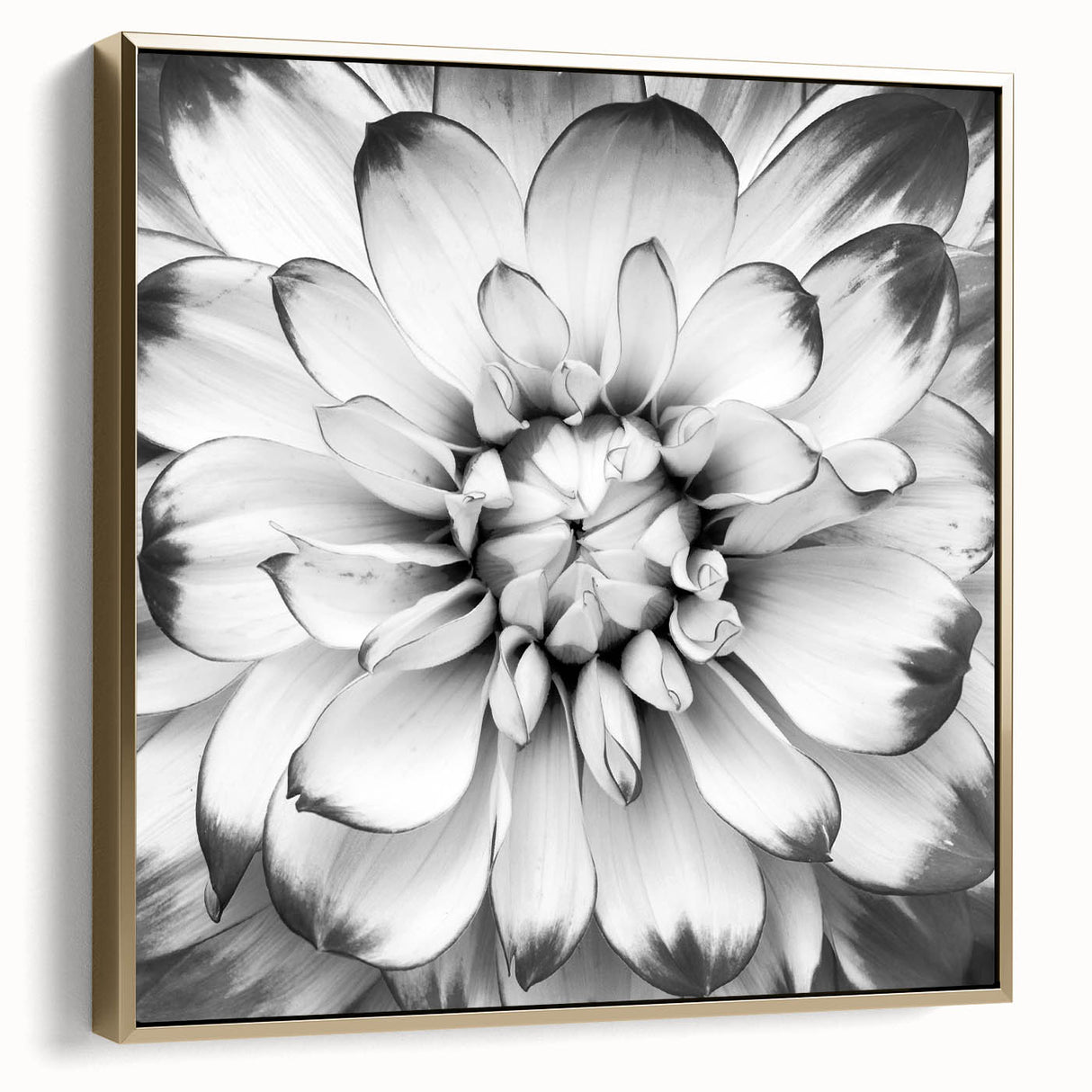 Vibrant floral canvas art featuring bold colors and intricate details, beautifully showcasing a modern botanical design ideal for home decor enhancement.