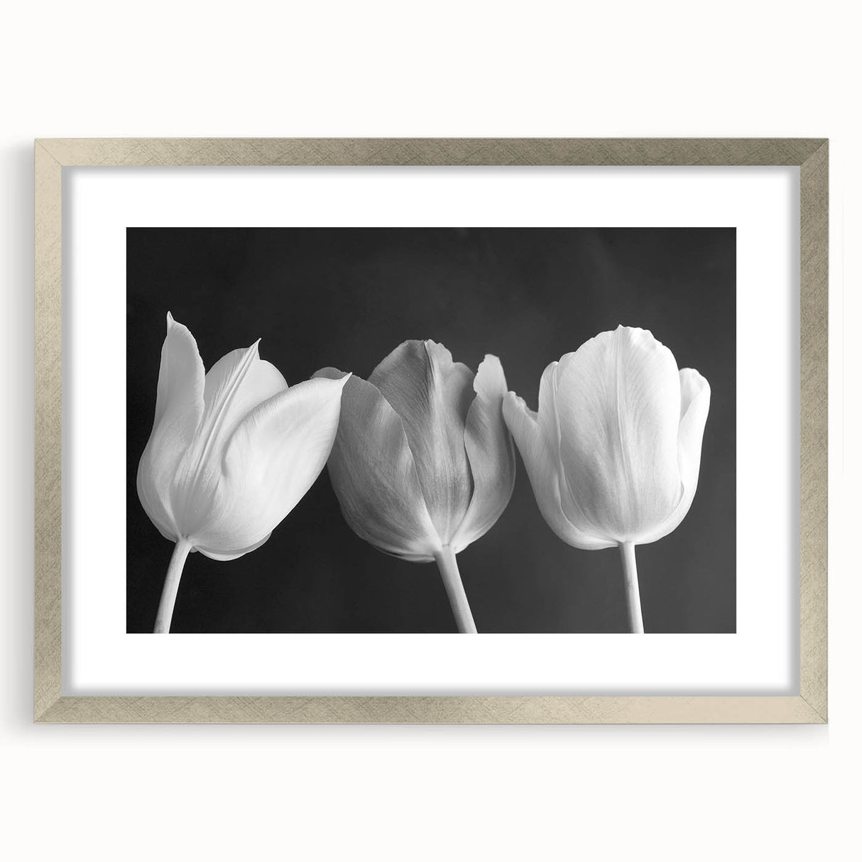 Vibrant floral canvas print showcasing a colorful flower arrangement with intricate details, perfect for home decor or art enthusiasts, presented in a protective tube.