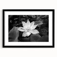 Brightly colored floral canvas print showcasing intricate details of blooming flowers in vibrant hues, ideal for home decor or artistic inspiration. Perfect for adding a touch of nature to any space.