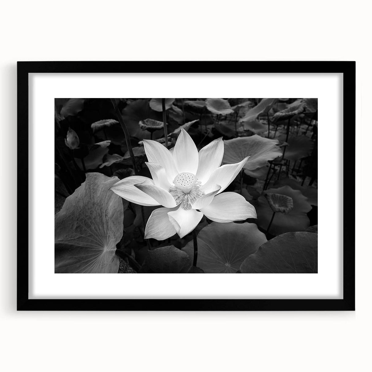 Brightly colored floral canvas print showcasing intricate details of blooming flowers in vibrant hues, ideal for home decor or artistic inspiration. Perfect for adding a touch of nature to any space.
