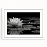 Vibrant floral canvas art showcasing a colorful arrangement of flowers in a modern design, ideal for home decor and interior styling. Perfect for brightening living spaces.