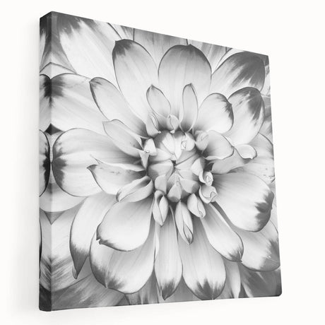 Vibrant, close-up of a blossoming flower with delicate petals in shades of pink and white, set against a soft green background, showcasing nature's beauty and detail.