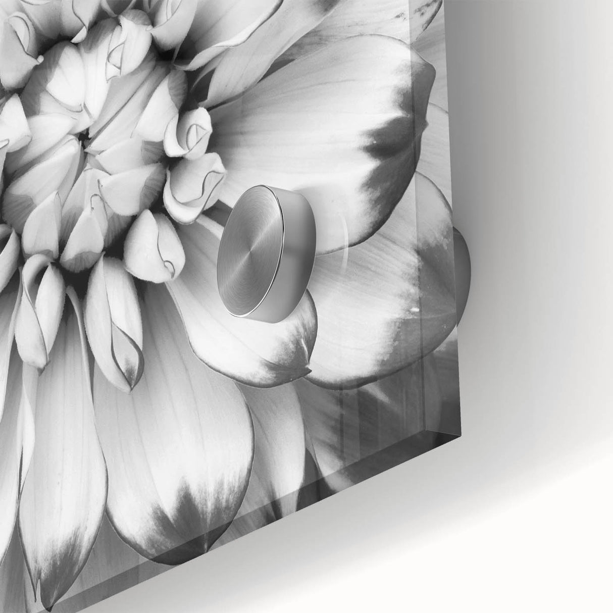 Vibrant floral canvas artwork showcasing a colorful arrangement of blooming flowers against a soft, neutral background, perfect for enhancing home decor.