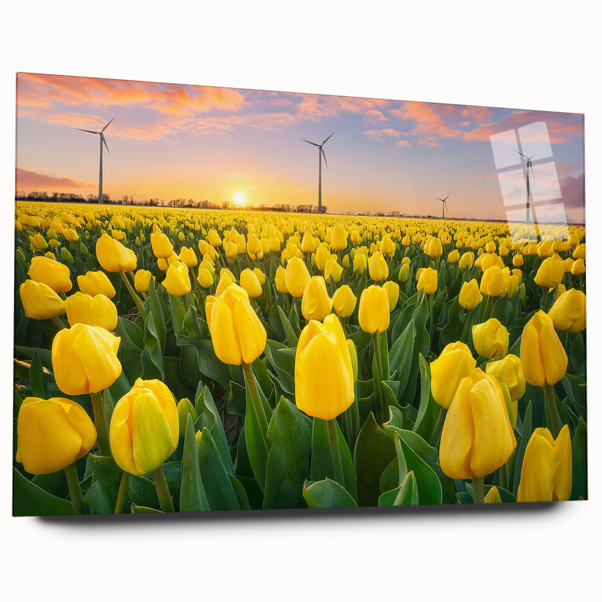 Vibrant close-up of a floral canvas print showcasing colorful blooms in intricate detail, ideal for home decor or art enthusiasts, emphasizing nature's beauty.