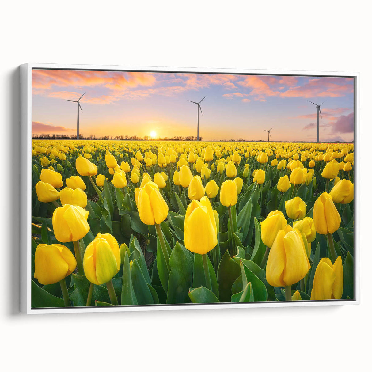 Vibrant floral artwork on a textured canvas, showcasing bold colors and intricate details, perfect for enhancing home decor. Ideal for nature-inspired interiors.