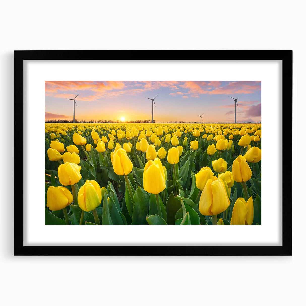Vibrant floral canvas print featuring intricate flower designs in bold colors, ideal for home decor, showcasing artistic details and textures. Perfect for enhancing any living space with a touch of nature.