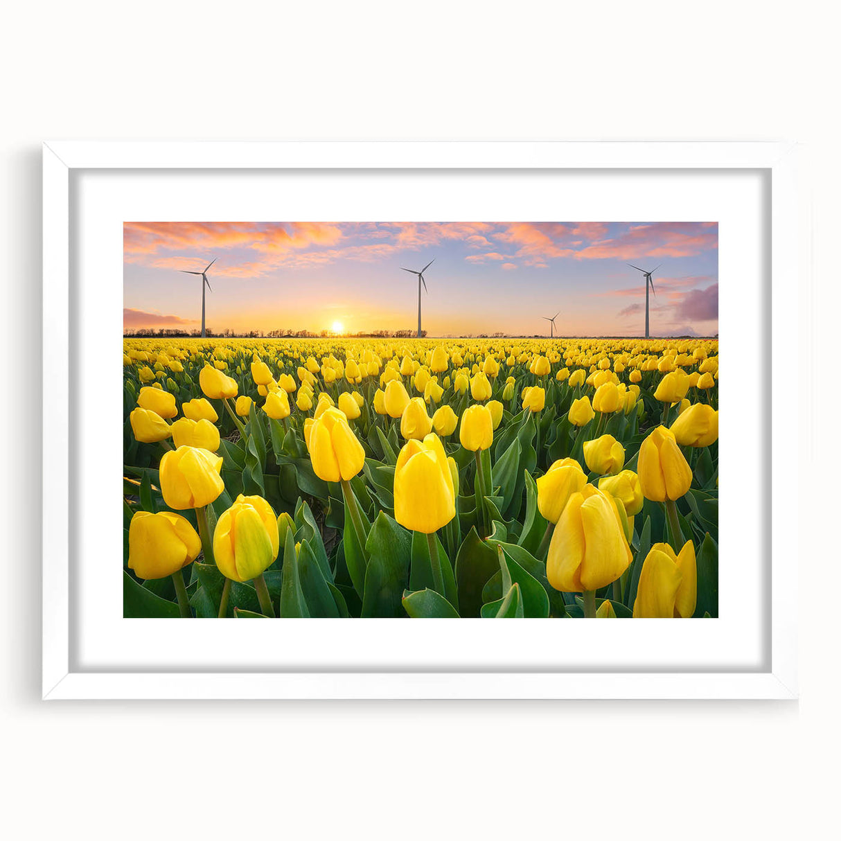 Vibrant floral canvas print showcasing a rich blend of colors, featuring intricate flower designs that enhance home decor. Perfect for adding a touch of nature-inspired elegance.