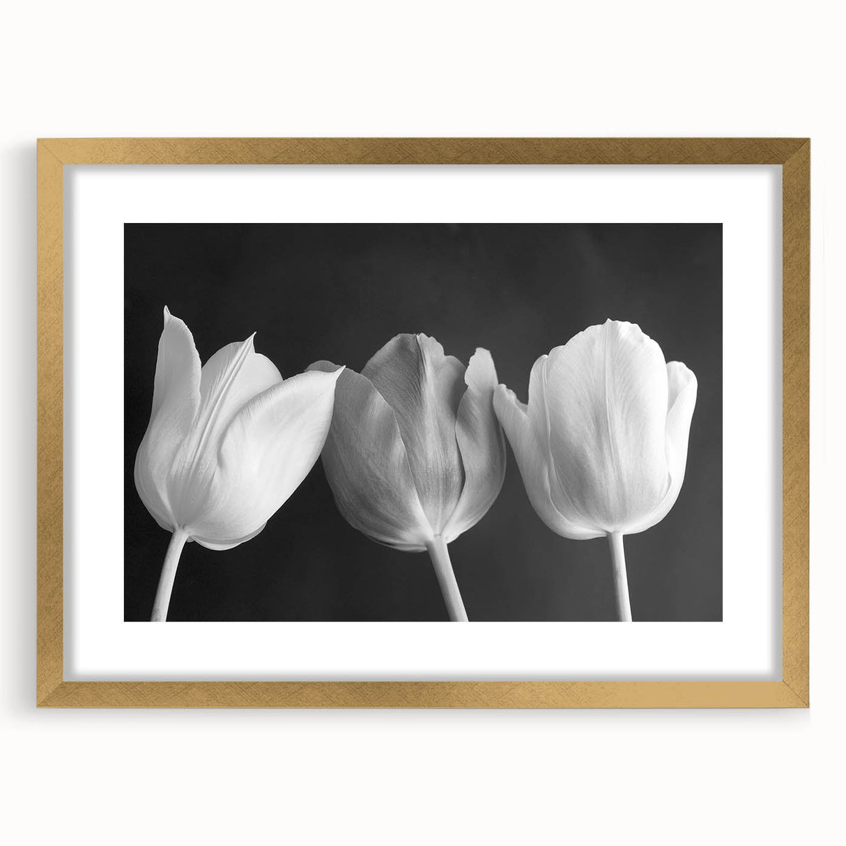 Vibrant botanical wall art print showcasing a detailed flower illustration in rich colors, ideal for home decor or artistic enhancement of any space. Perfect for nature lovers.