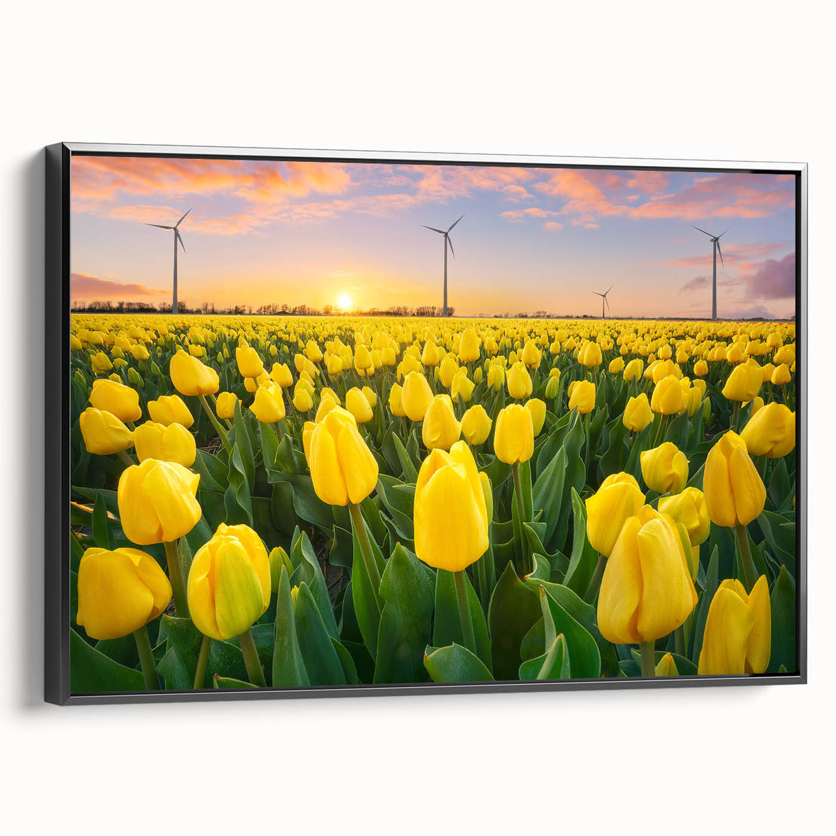 Vibrant floral canvas print featuring a colorful array of blooming flowers in shades of pink, yellow, and blue, ideal for brightening home decor.