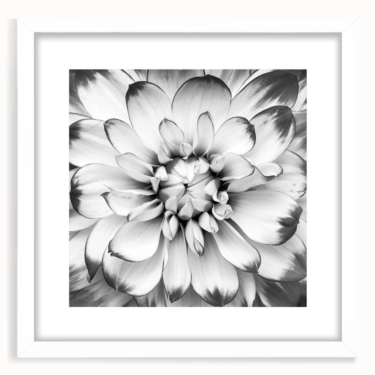 Vibrant floral canvas print showcasing a colorful arrangement of delicate flowers, perfect for home decor or art enthusiasts, highlighting shades of pink and yellow.