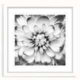 Vibrant floral canvas print showcasing a colorful arrangement of delicate flowers, perfect for home decor or art enthusiasts, highlighting shades of pink and yellow.