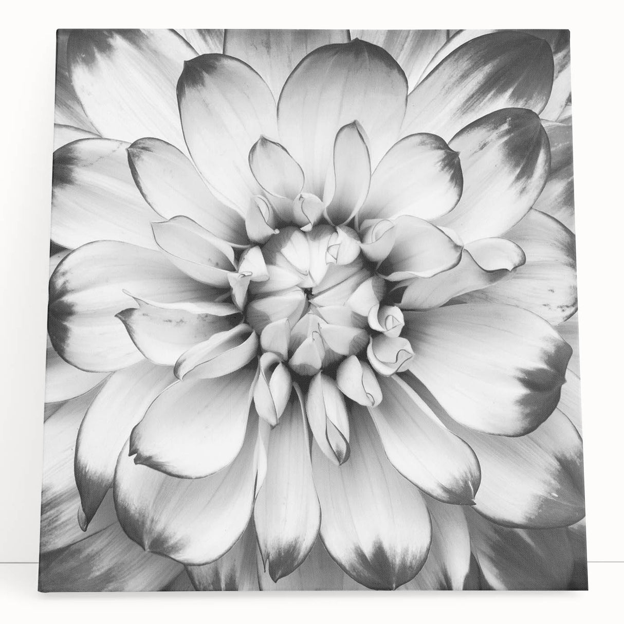 Vibrant floral canvas print showcasing a colorful array of blooming flowers on a textured background, ideal for home decor and wall art enthusiasts.