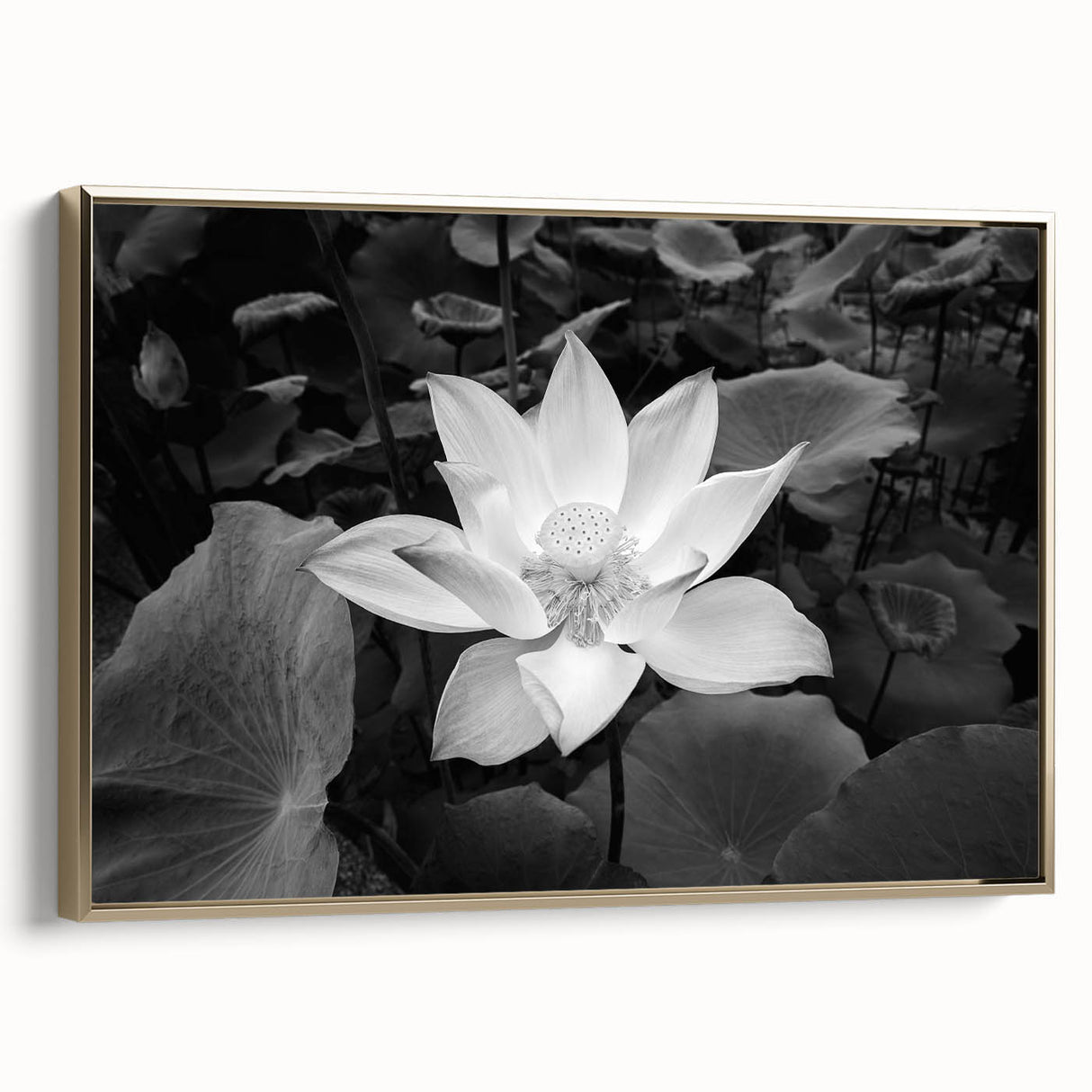 Vibrant floral canvas artwork showcasing a variety of colorful flowers against a soft pastel background, perfect for brightening up any living space or office.