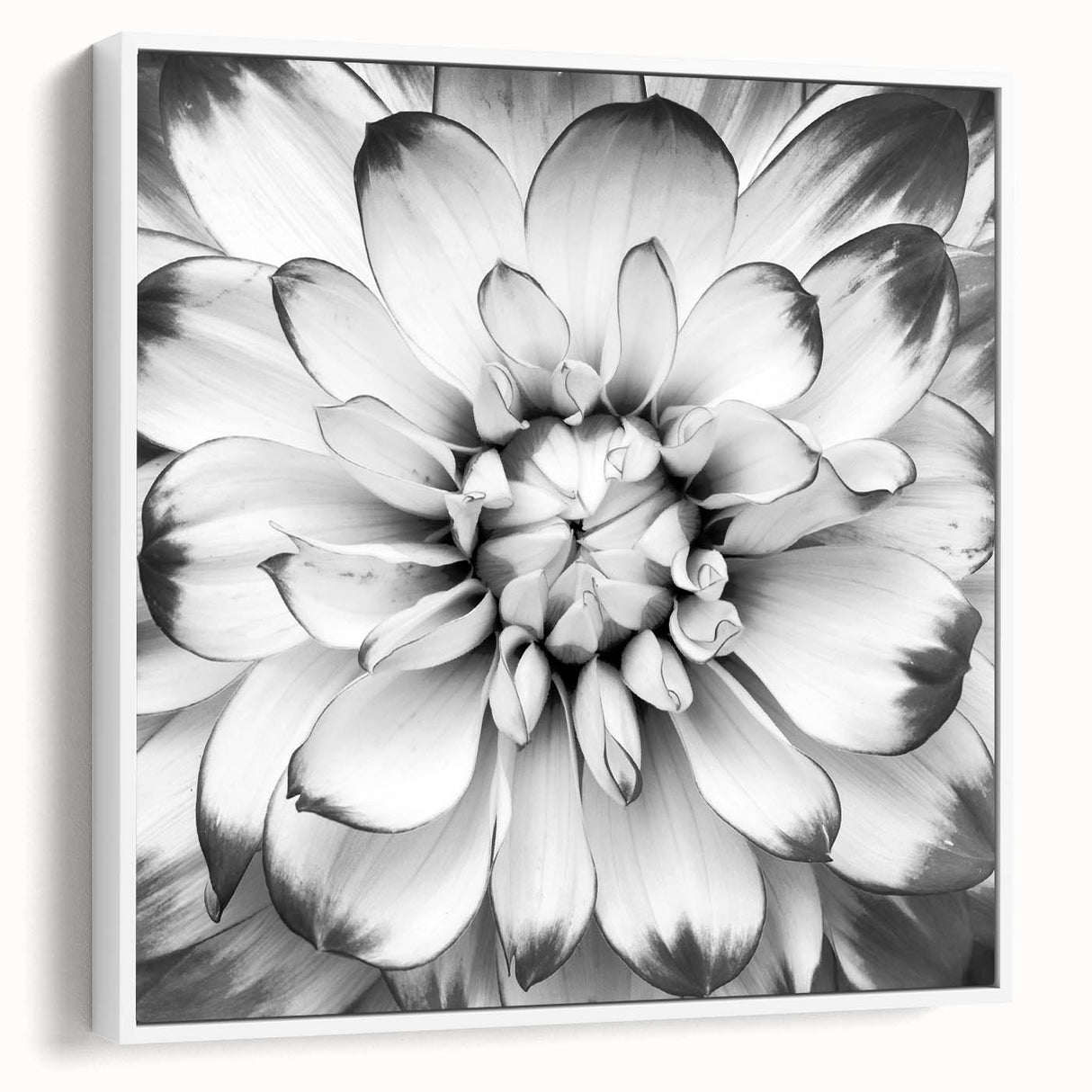 Vibrant floral canvas print showcasing intricate patterns and rich colors, elegantly displayed against a neutral background, ideal for home decor enhancement.