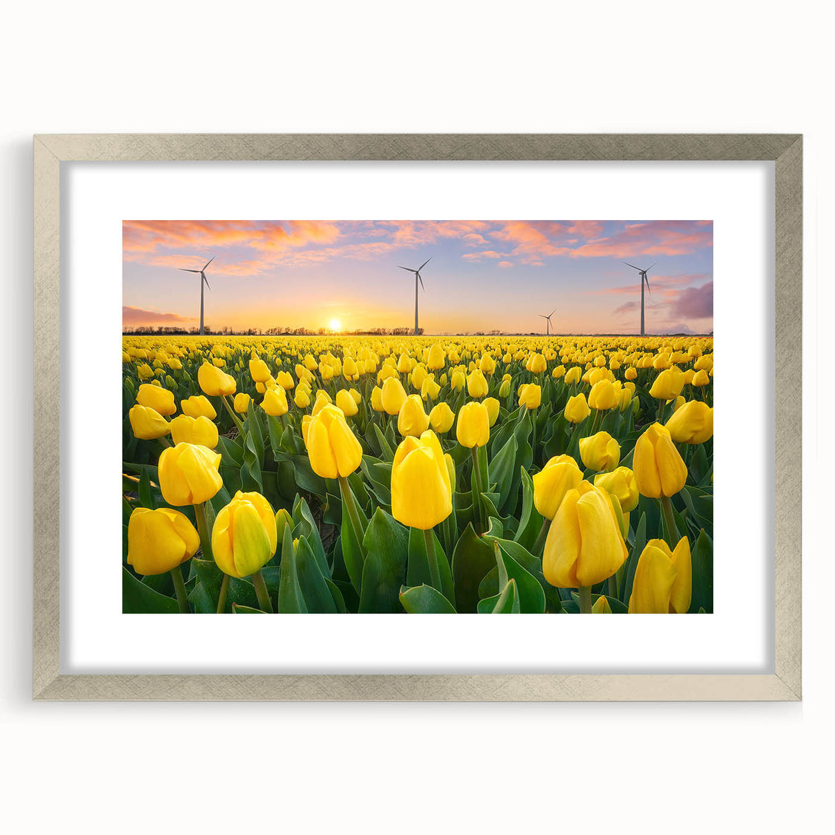 Vibrant floral canvas art print showcasing bold colors and intricate detailing, rolled and securely packaged in a durable cardboard tube for safe transit.