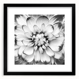 Vibrant floral canvas print showcasing bold, multicolored flowers and intricate detailing, ideal for home decor or art enthusiasts, presented in a protective tube.