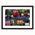 Vibrant floral canvas wall art showcasing a colorful array of blooming flowers in various shades, perfect for brightening up living spaces or offices.