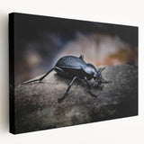 Vibrant close-up of a tropical insect with intricate patterns and bright colors, showcasing its detailed wings and body against a blurred green background. Ideal for nature enthusiasts and educational content on biodiversity.
