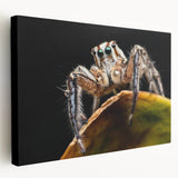 Close-up of a vibrant insect illustration showcasing intricate details, featuring bright colors and realistic textures, perfect for nature-themed decor.
