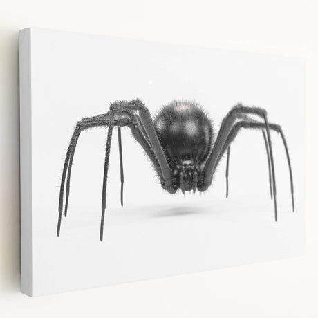 Close-up of a vibrant insect illustration showcasing intricate details in bold colors, perfect for nature-themed decor or educational purposes, printed on high-quality paper.