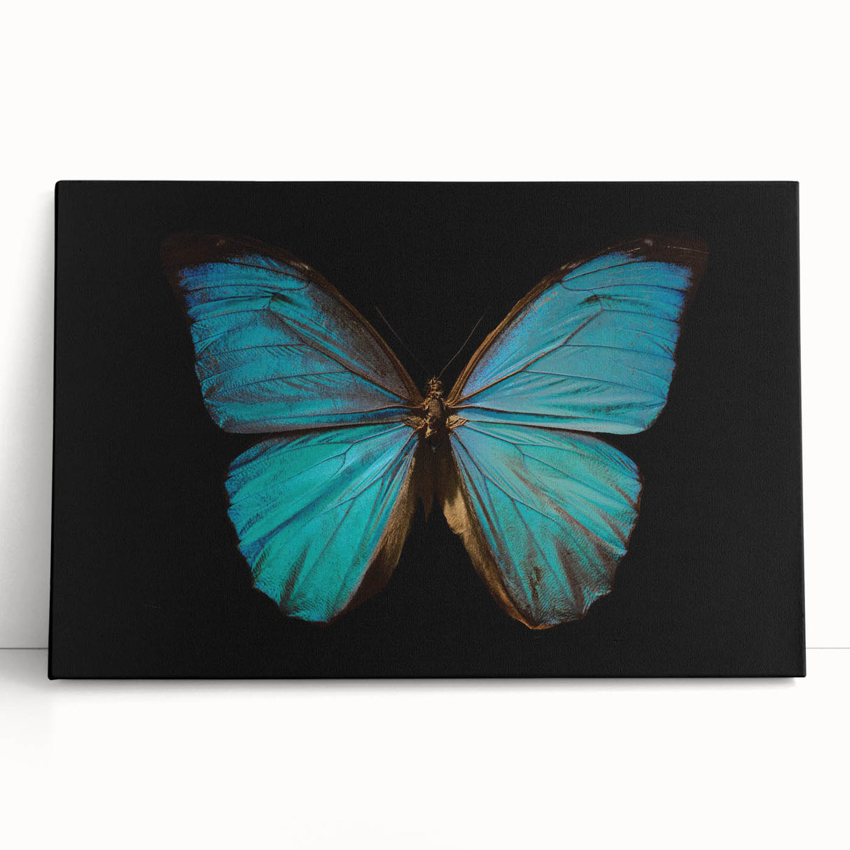 Colorful close-up of a vibrant insect illustration, showcasing intricate details and textures, perfect for educational purposes or nature-themed decor.