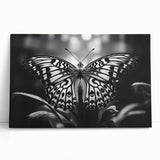 Close-up of a detailed insect illustration showcasing vibrant colors and intricate patterns, perfect for educational use or nature-themed decor.