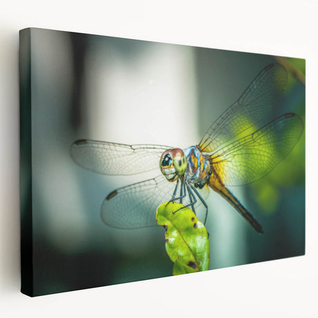 Close-up of a wooden insect sculpture with intricate carvings and natural finish, showcasing detailed textures and organic shapes, perfect for home decor.