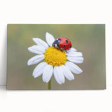 Close-up of a vibrant insect illustration with intricate details, showcasing vivid colors and patterns, ideal for nature enthusiasts and art collectors.