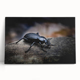 Close-up of a vibrant insect illustration showcasing intricate details and vivid colors, perfect for nature-themed decor or educational purposes. Ideal for enhancing creative spaces or classrooms.